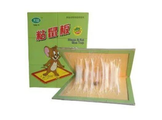 粘鼠板用什么引誘老鼠?耗子被粘鼠板粘了屋子沒事吧 粘鼠板用什么引誘老鼠?耗子被粘鼠板粘了屋子沒事吧