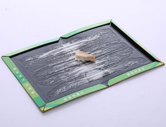 ճ���ճ��ס��������ô�k�����ӱ�ճ���ճ��߀�ܻ���