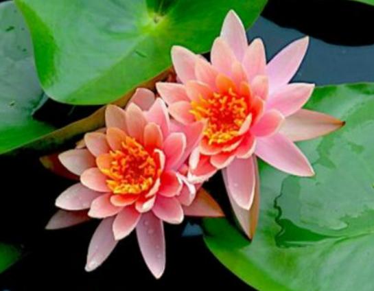 ����������ʮ������������˯ɏ�ǐ����������õ�����m�ϱ��_����