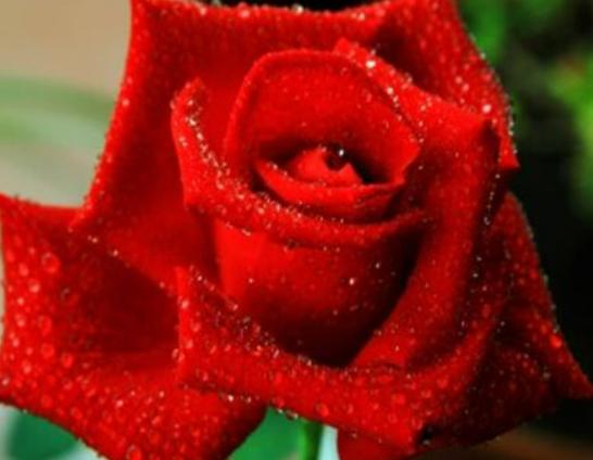 ����������ʮ������������˯ɏ�ǐ����������õ�����m�ϱ��_����