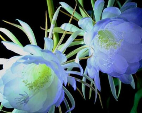 ����������ʮ������������˯ɏ�ǐ����������õ�����m�ϱ��_����