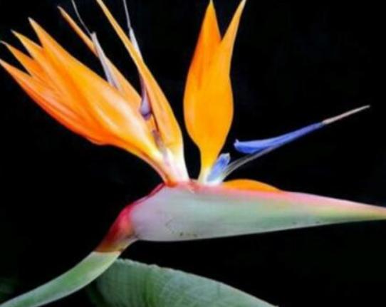 ����������ʮ������������˯ɏ�ǐ����������õ�����m�ϱ��_����