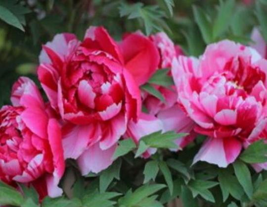 ����������ʮ������������˯ɏ�ǐ����������õ�����m�ϱ��_����