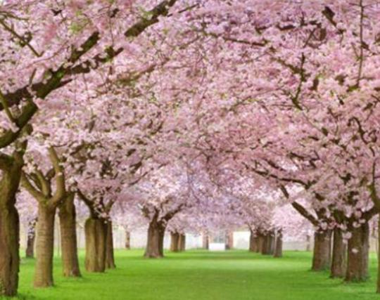 ����������ʮ������������˯ɏ�ǐ����������õ�����m�ϱ��_����