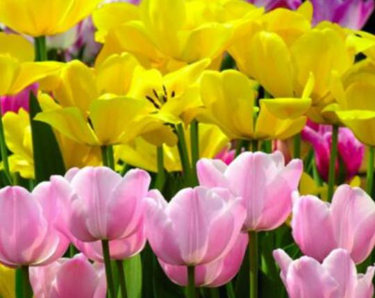 ����������ʮ������������˯ɏ�ǐ����������õ�����m�ϱ��_����