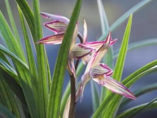 ����������ʮ������������˯ɏ�ǐ����������õ�����m�ϱ��_����