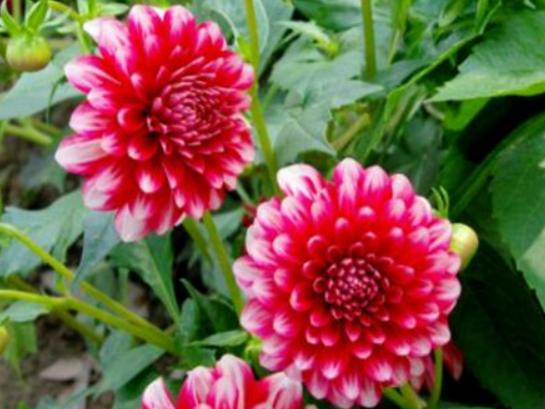 ����������ʮ������������˯ɏ�ǐ����������õ�����m�ϱ��_����