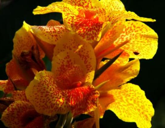 ����������ʮ������������˯ɏ�ǐ����������õ�����m�ϱ��_����