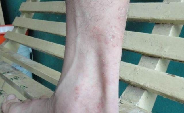 �w�\����Ⱦ�����w�_�Ă�Ⱦ;��