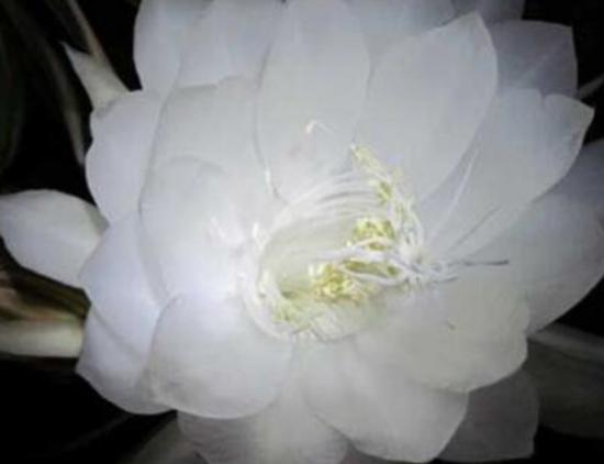 ����ʮ�������Ļ��������һ�����һ˲�g�����㡢ݱ�»�����]����·