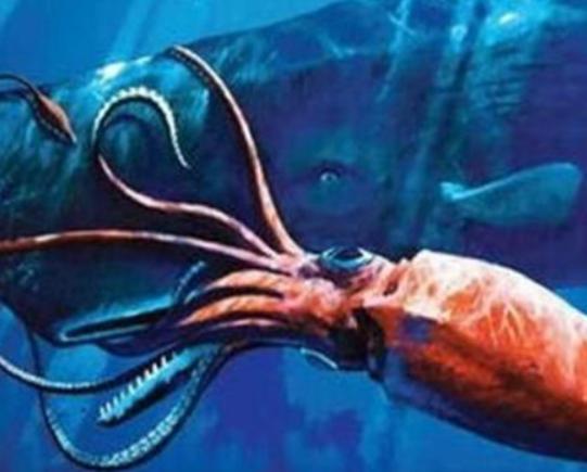 世界十大未知生物排名,卡布羅龍無從考證、大王烏賊重量達兩千克左右 世界十大未知生物排名,卡布羅龍無從考證、大王烏賊重量達兩千克左右