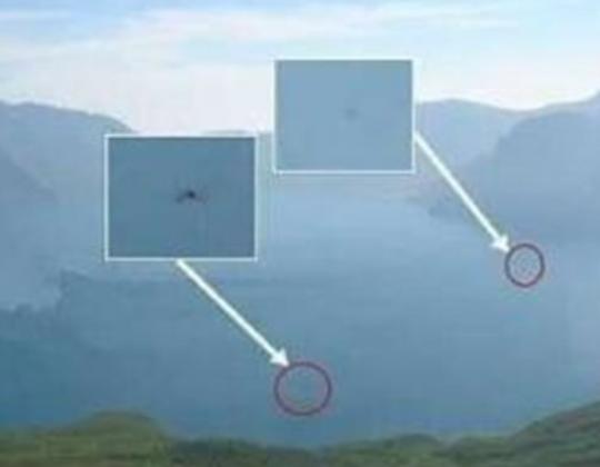 世界十大未知生物排名,卡布羅龍無從考證、大王烏賊重量達兩千克左右 世界十大未知生物排名,卡布羅龍無從考證、大王烏賊重量達兩千克左右