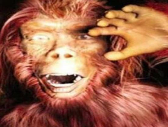 世界十大未知生物排名,卡布羅龍無從考證、大王烏賊重量達兩千克左右 世界十大未知生物排名,卡布羅龍無從考證、大王烏賊重量達兩千克左右