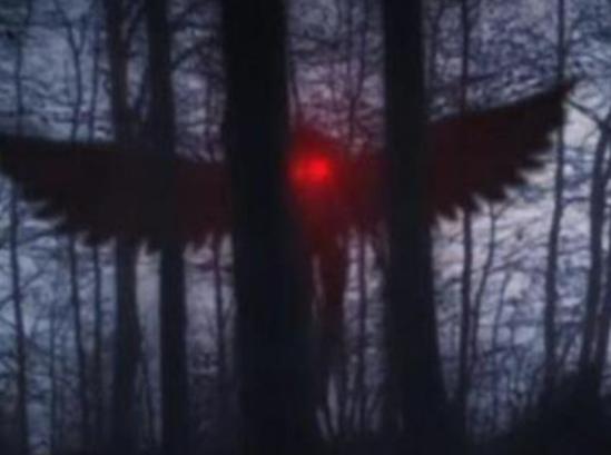 世界十大未知生物排名,卡布羅龍無從考證、大王烏賊重量達兩千克左右 世界十大未知生物排名,卡布羅龍無從考證、大王烏賊重量達兩千克左右