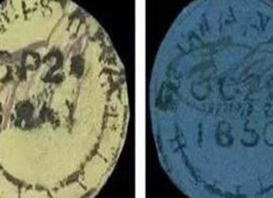 ����ʮ�������F�]Ʊ��ë����˹�]���]Ʊ����һƬ�t�]Ʊ�����y�����F��