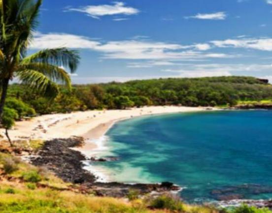 ȫ��ʮ�����F��˽�ˍu�Z�����΍u���Q�����}֮�u����˹���u��M�����Oʩ