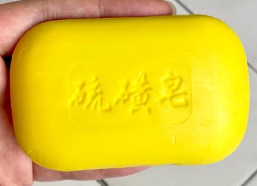 �ЋD�����������ϴ��᣿���x�Ŀ�����������