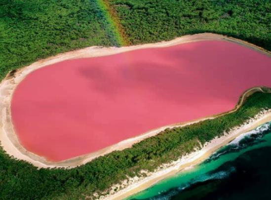 ����ʮ�����صĺ�������������ˮ�ɫ�������i��ˮĸ���а��fֻˮĸ