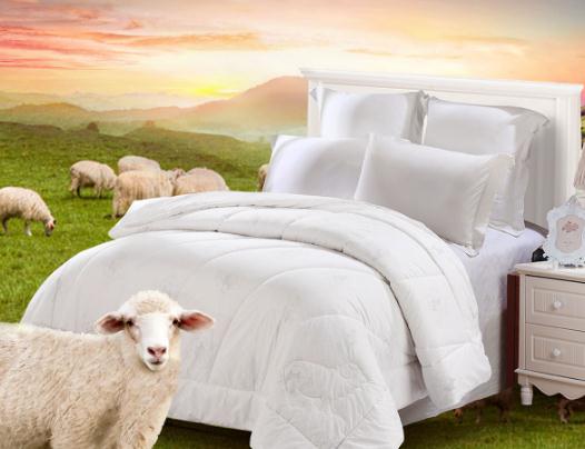 羊毛被那么便宜嗎?新買的羊毛被不蓬松是質量問題嗎 羊毛被那么便宜嗎?新買的羊毛被不蓬松是質量問題嗎
