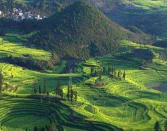 世界氣候最好的十大地方,新西蘭北島、美國加州沿海冬暖夏涼 世界氣候最好的十大地方,新西蘭北島、美國加州沿海冬暖夏涼