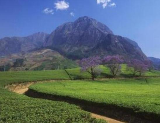 世界氣候最好的十大地方,新西蘭北島、美國加州沿海冬暖夏涼 世界氣候最好的十大地方,新西蘭北島、美國加州沿海冬暖夏涼