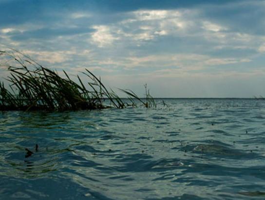 中國十大禁地排名,羌塘被稱為人類生命的禁區、拉昂錯被叫“鬼湖” 中國十大禁地排名,羌塘被稱為人類生命的禁區、拉昂錯被叫“鬼湖”