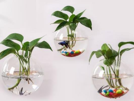 �G�}��֦��ˮ���ܻ�᣿�G�}�I�BҺ��ֱ�ӝ�������߀�ǃ�ˮ����