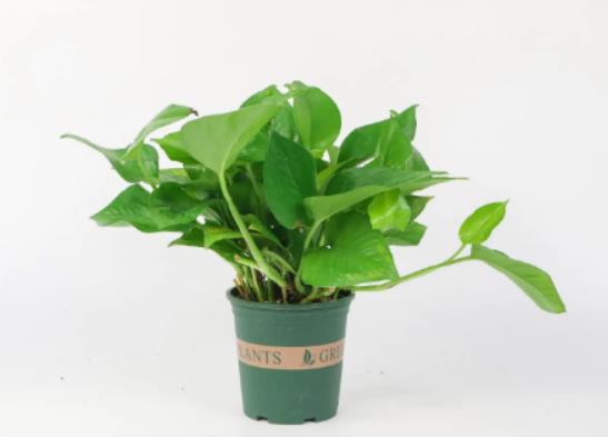 �G�}���u��ˮ��߀��ơ��ˮ�ã��u��ˮ���G�}�ķ���