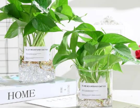 �G�}���u��ˮ������߀���ϳ�ã��G�}�ܳ���ȩ�ͮ�ζ��