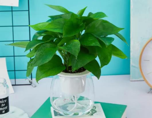 �͏d�G�}�����ò��ã��G�}�޼�����ô�B�o