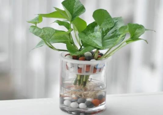 �G�}��ô�B�~�Ӳ��S���G�}��������ˮ�͠������������