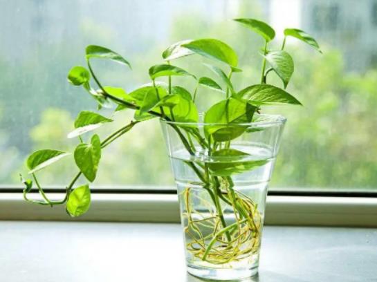 ����G�}���Է�����_�B�᣿��¶ˮ��ˮ���ԝ��G�}��