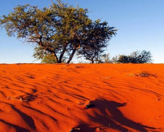 世界十大沙漠排名,撒哈拉沙漠人煙稀少、阿拉伯沙漠礦產(chǎn)資源豐富 世界十大沙漠排名,撒哈拉沙漠人煙稀少、阿拉伯沙漠礦產(chǎn)資源豐富