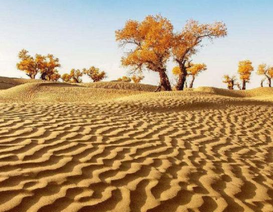 世界十大沙漠排名,撒哈拉沙漠人煙稀少、阿拉伯沙漠礦產(chǎn)資源豐富 世界十大沙漠排名,撒哈拉沙漠人煙稀少、阿拉伯沙漠礦產(chǎn)資源豐富