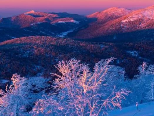 立冬后多久會變冷?2023立冬是哪一天 立冬后多久會變冷?2023立冬是哪一天