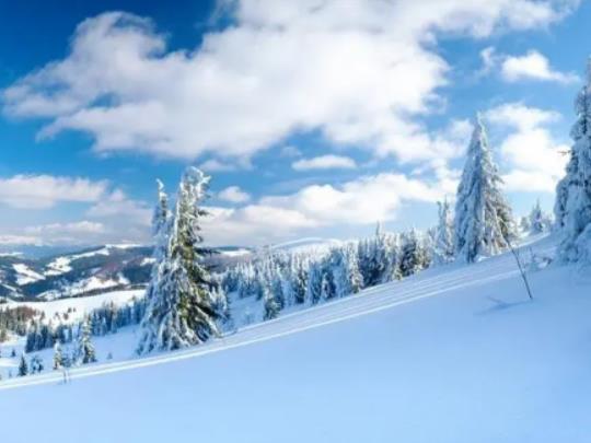 �����^�������ʲô׃������ʲô2023��������ǰ���