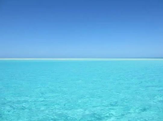 �ձ��ŷź���ˮ߀�ܳԴ���᣿�ձ��ŷź���ˮ��(du��)�Ї�������Ӱ푆�