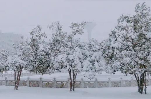 2024年春節(jié)是哪一天?春節(jié)低溫天氣多少度正常 2024年春節(jié)是哪一天?春節(jié)低溫天氣多少度正常