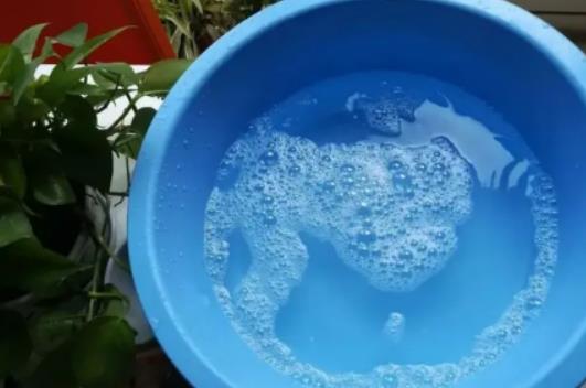 放了留香珠還要放洗衣液不?柔順劑當洗衣液用了會對皮膚有傷害嗎 放了留香珠還要放洗衣液不?柔順劑當洗衣液用了會對皮膚有傷害嗎