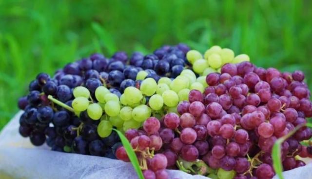 �����ѵ�������� ����Ƥ�ĺ�̎