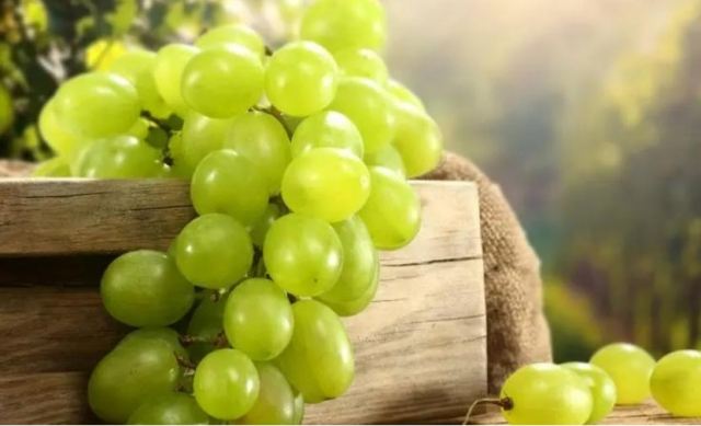 ���ѵĹ�Ч�c���ý��� ���ѳ�����ʲô���Y