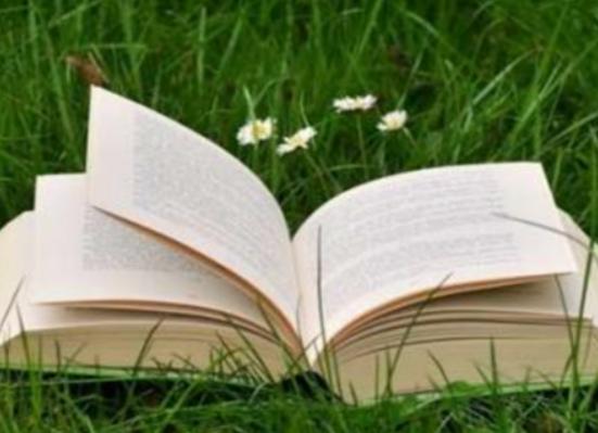 世界熱門語言排行榜,英語涉及范圍廣、漢語使用的人很多 世界熱門語言排行榜,英語涉及范圍廣、漢語使用的人很多