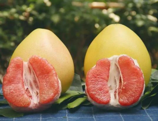 ����Ƥ��ô�l�͝���������Ƥ�l����ʲô��