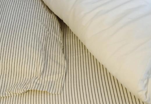 跳蚤粉可以殺死蟑螂嗎?跳蚤粉可以撒在床上嗎 跳蚤粉可以殺死蟑螂嗎?跳蚤粉可以撒在床上嗎