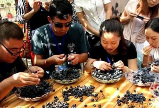 過性生活后吃葡萄有什么好處?皮膚病可以吃葡萄嗎 過性生活后吃葡萄有什么好處?皮膚病可以吃葡萄嗎