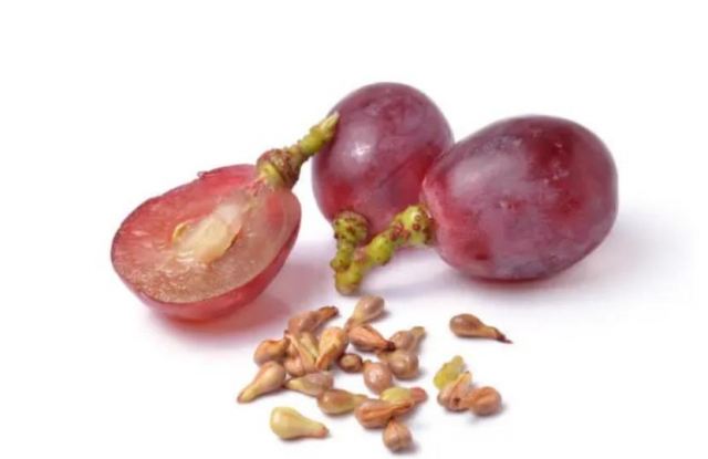 葡萄籽男人可以吃嗎 葡萄籽長期吃有壞處嗎 葡萄籽男人可以吃嗎 葡萄籽長期吃有壞處嗎