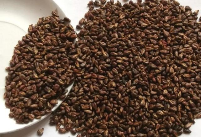 葡萄籽男人可以吃嗎 葡萄籽長期吃有壞處嗎 葡萄籽男人可以吃嗎 葡萄籽長期吃有壞處嗎