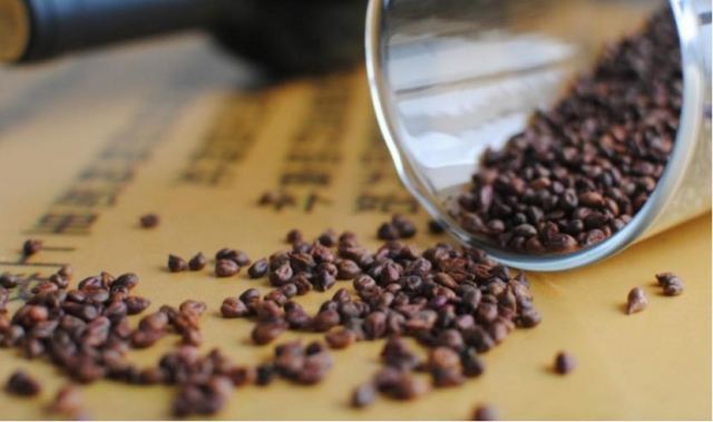 �����ѿ������׵��߆� �����ѿ����L�ڷ��Æ�