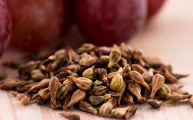 �����ѿ������׵��߆� �����ѿ����L�ڷ��Æ�