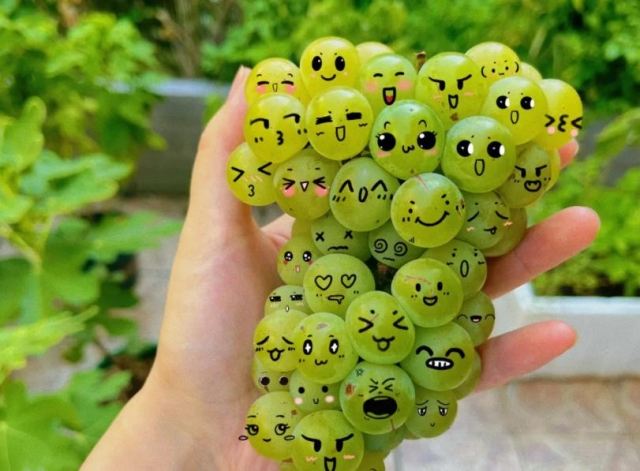 �����ѳ��˕�(hu��)���������� �����ѕ�(hu��)��������������